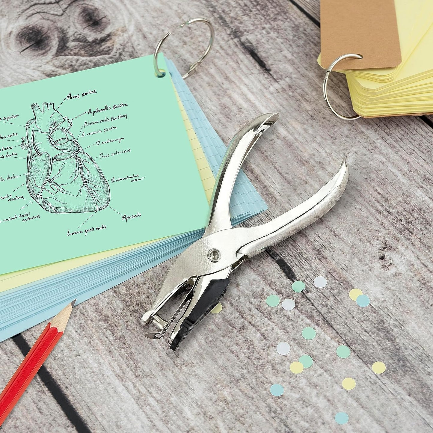 Perforateur - 1 trou - Pince métal - Perfore 10 feuilles - Argent - Rapesco