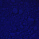 Pigment en poudre - Bleu de Prusse - 99 - Blockx - Pot de 100g