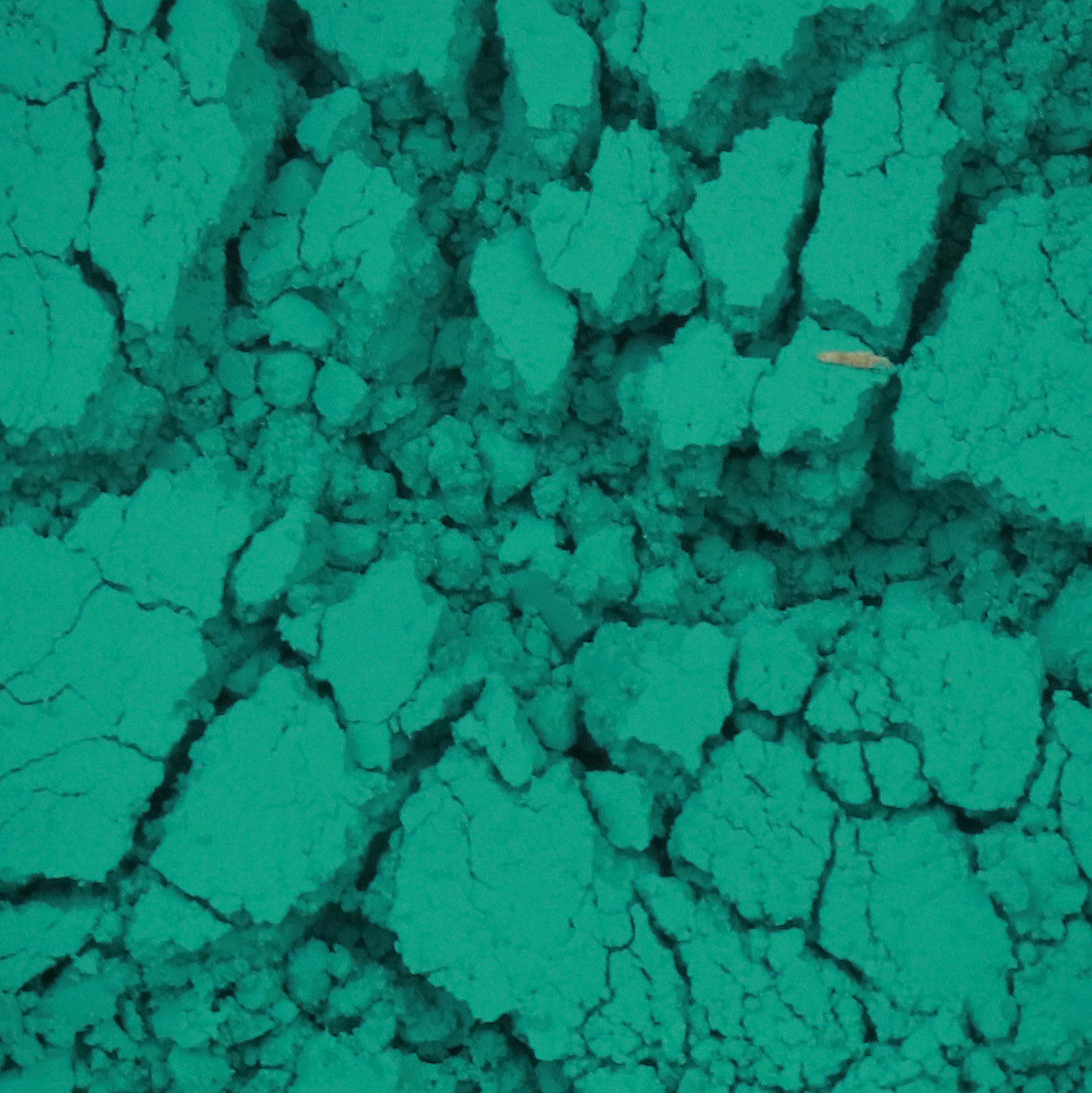 Pigment en poudre - Vert émeraude - 18 - Blockx - Pot de 100g