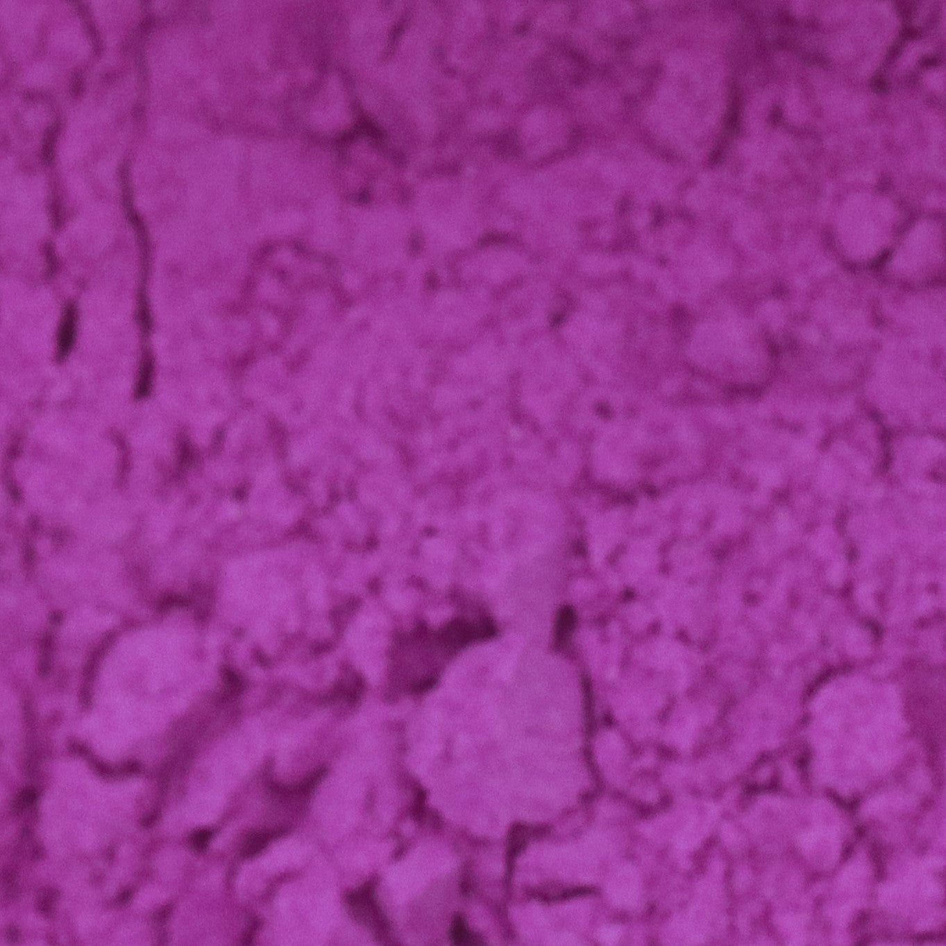 Pigment en poudre - Violet de cobalt - 13 - Blockx - Pot de 100g