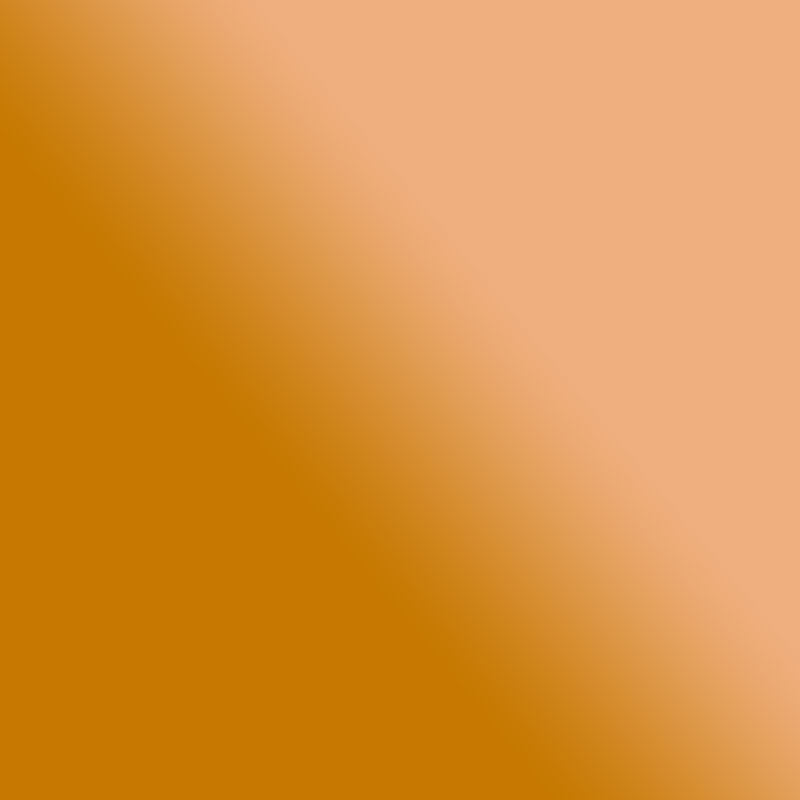 Pinceau pré-rempli - Ink Brush - Orange Irisé - Sennelier