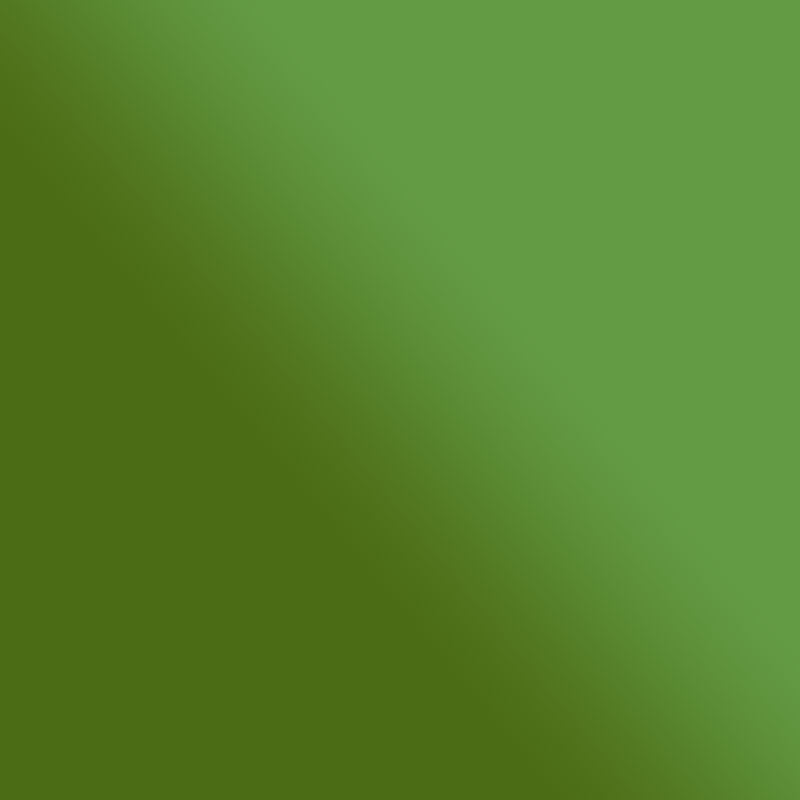 Pinceau pré-rempli - Ink Brush - Vert Clair Irisé - Sennelier