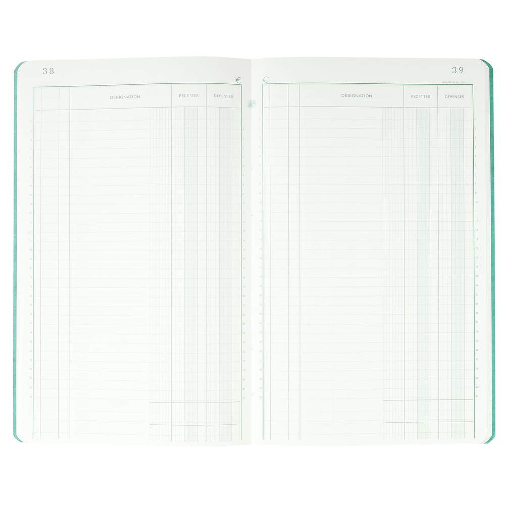 Registre - Recettes dépenses - Piqûre - 80 Pages - 32x19,5cm - Exacompta - 7730E