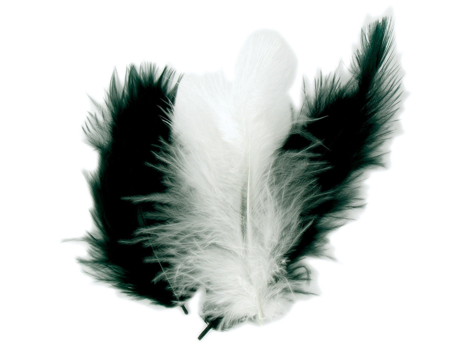 Plumes naturelles - Camaïeu noir et blanc - 10 cm - 50 pièces