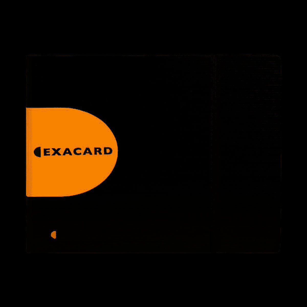 Porte Cartes De Visite Détachable Exacard Exactive 240 Cartes - 20X25Cm - Exacompta
