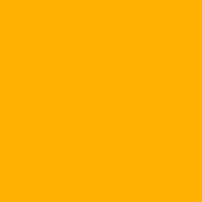 Porte-vues - 60 vues - 30 pochettes - Jaune - A4 - Souple - Exacompta