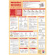 Poster pédagogique - Gestes premiers secours - 52x76cm - A afficher - Bouchut