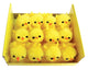 Petits poussins - Décoratif - Loisirs créatifs - Pâques - 12 pièces - 2,5cm
