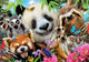 Puzzle - Le selfie des animaux - 300 pièces - Educa