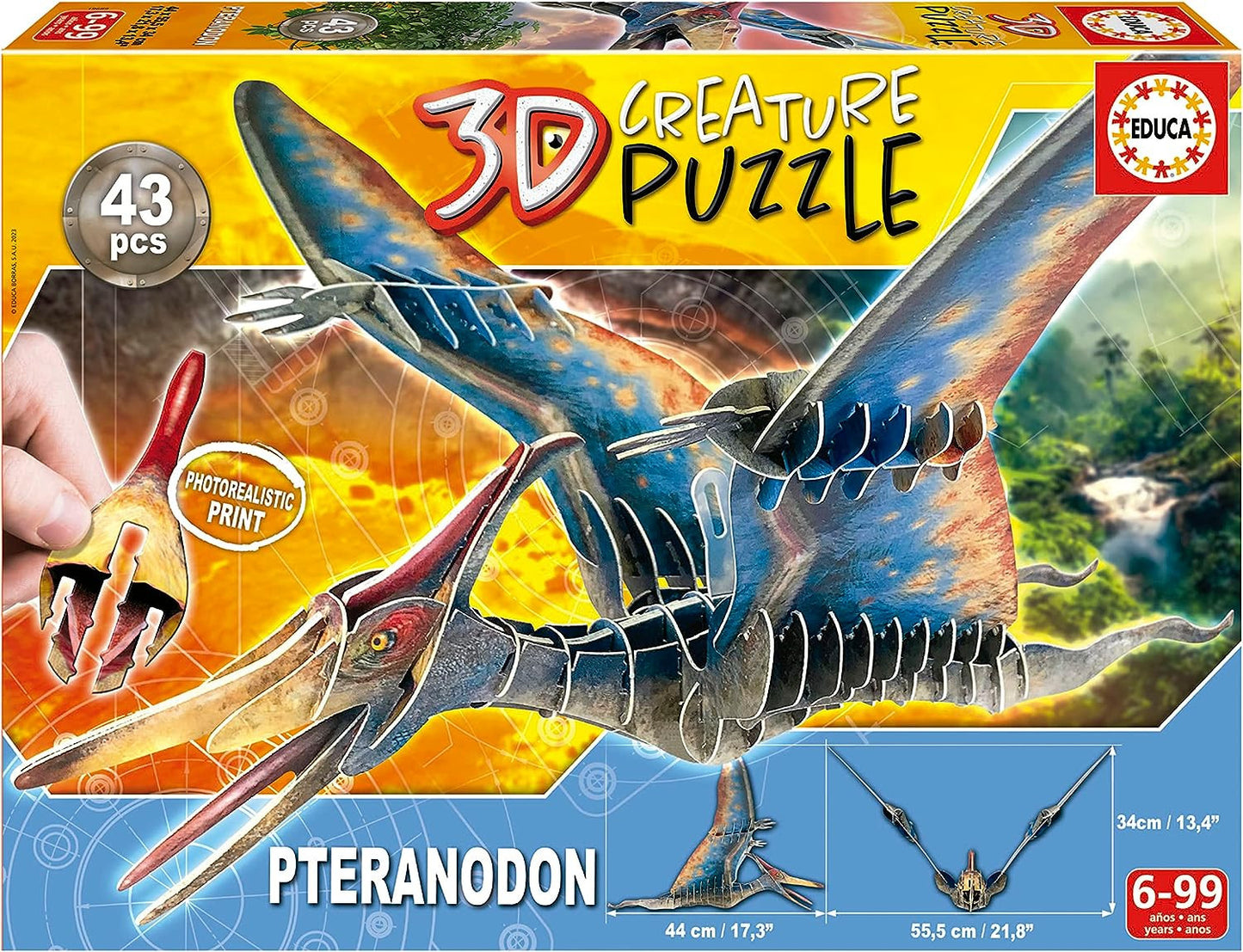 Puzzle - 3D - Dinosaure - Pteranodon - 43 pièces - Enfant dès 5 ans - Educa