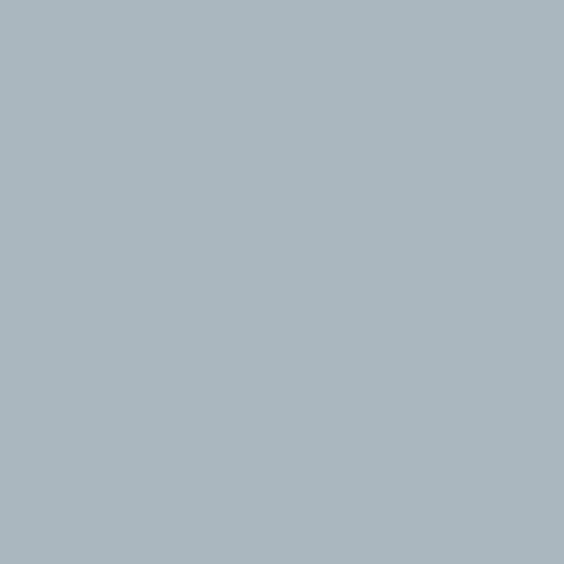 Polish + cire - SONAX - Couleur Argent/gris - Carrosserie - Flacon 500ml