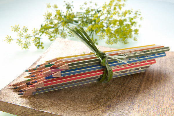 Pochette de 24 crayons de couleur GREENcolors STABILO ARTY