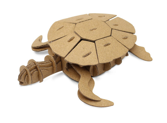 Petite tortue en carton - A assembler - CTOP