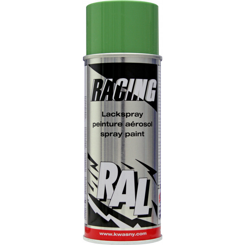 Bombe de peinture carrosserie voiture Racing RAL6011 vert réséda 400ml