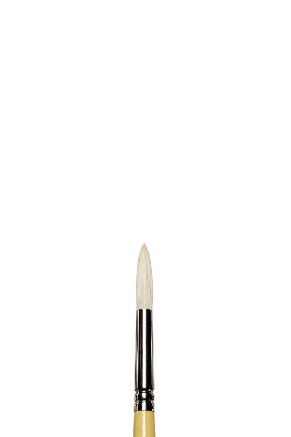 Pinceau - Rond - Huile - Acrylique - Winsor et Newton - Artists - Soie de porc - N°6