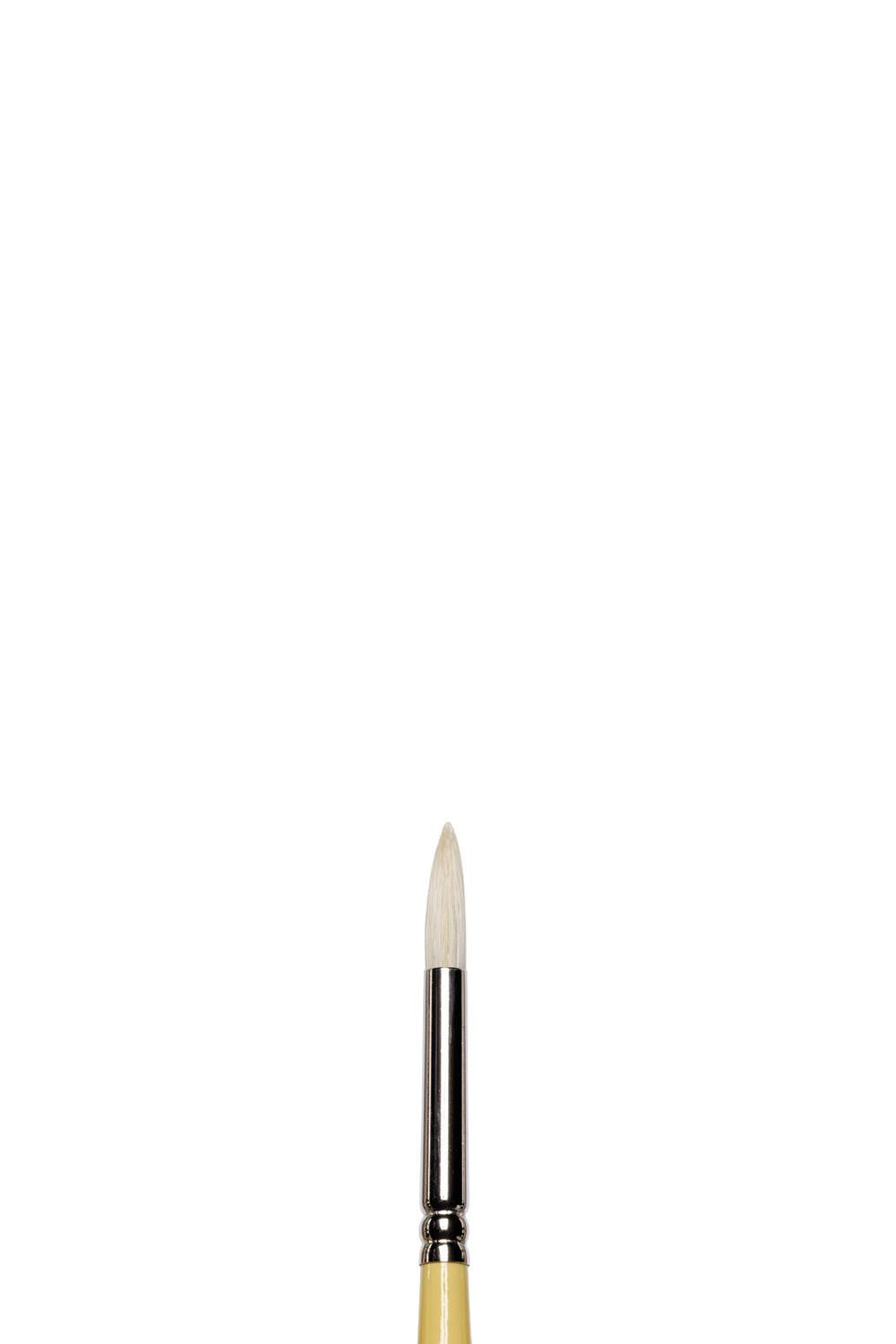Pinceau - Rond - Huile - Acrylique - Winsor et Newton - Artists - Soie de porc - N°4