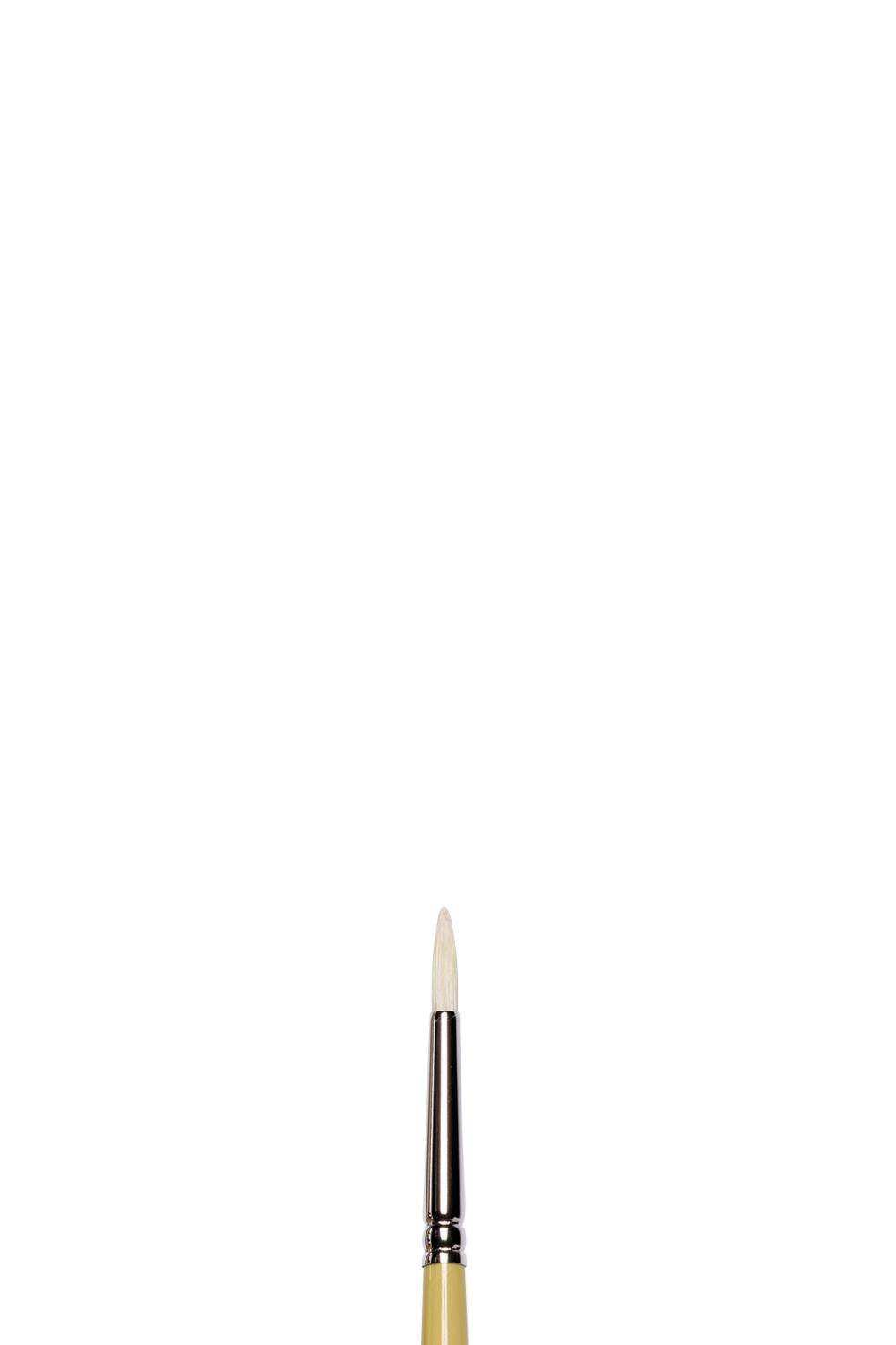 Pinceau - Rond - Huile - Acrylique - Winsor et Newton - Artists - Soie de porc - N°2