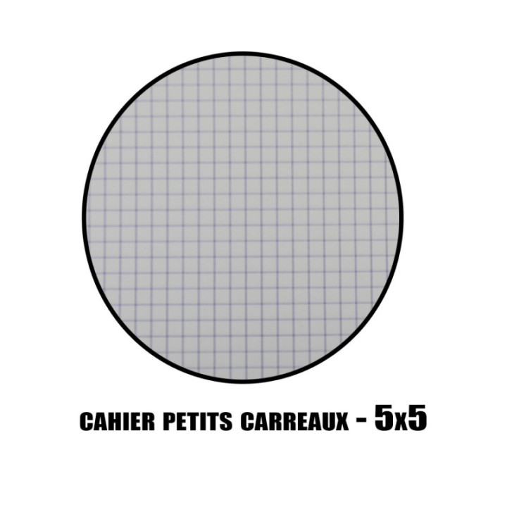 Carnet - 11x17cm - Petits Carreaux - 96 pages - Calligraphe