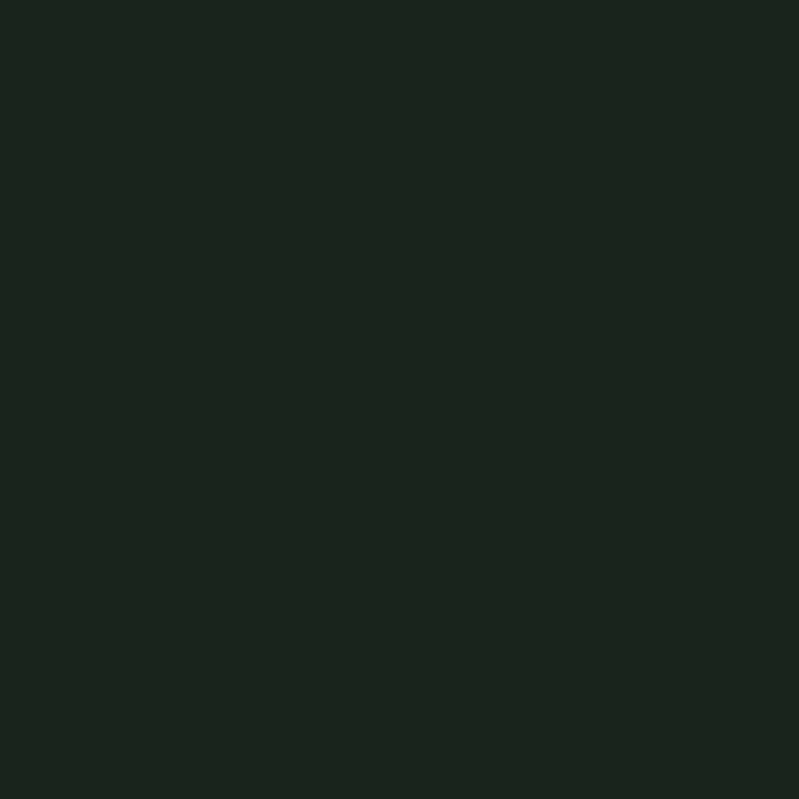 Bombe de peinture de camouflage - vert bronze - Motip