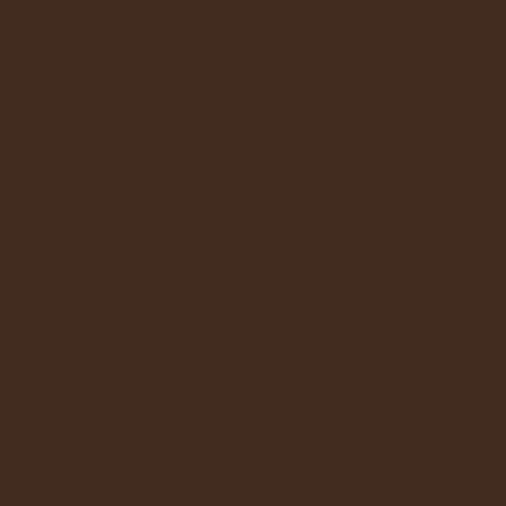 Bombe de peinture de camouflage - brun - Motip