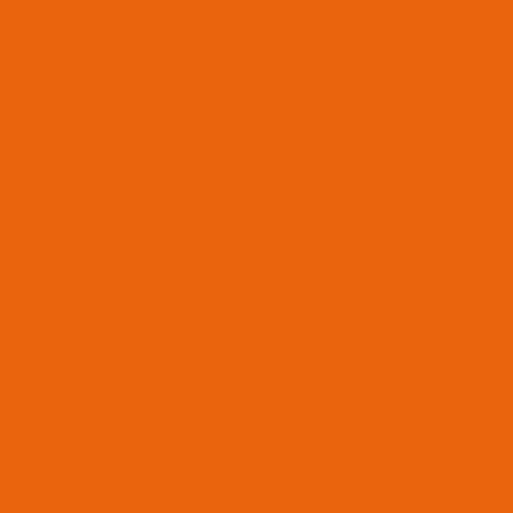 Bombe de peinture - Orange - RV-2004 - MTN 94 - 400ml