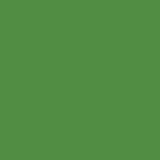 Bombe de peinture - Vert guacamole - RV-34 - MTN 94 - 400ml