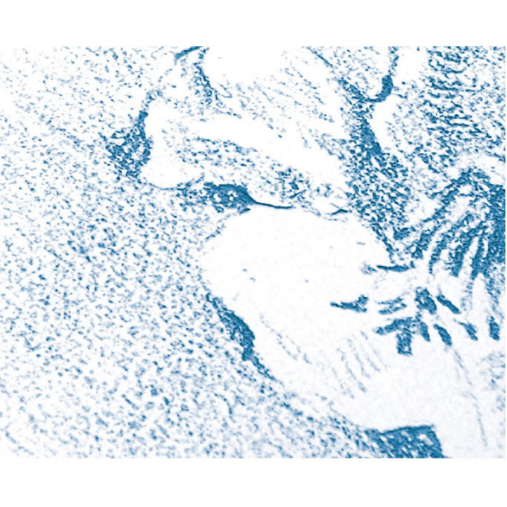 Papier dessin - A4 - 224g - Blanc à grain - Sans acide - 12 feuilles - Clairefontaine