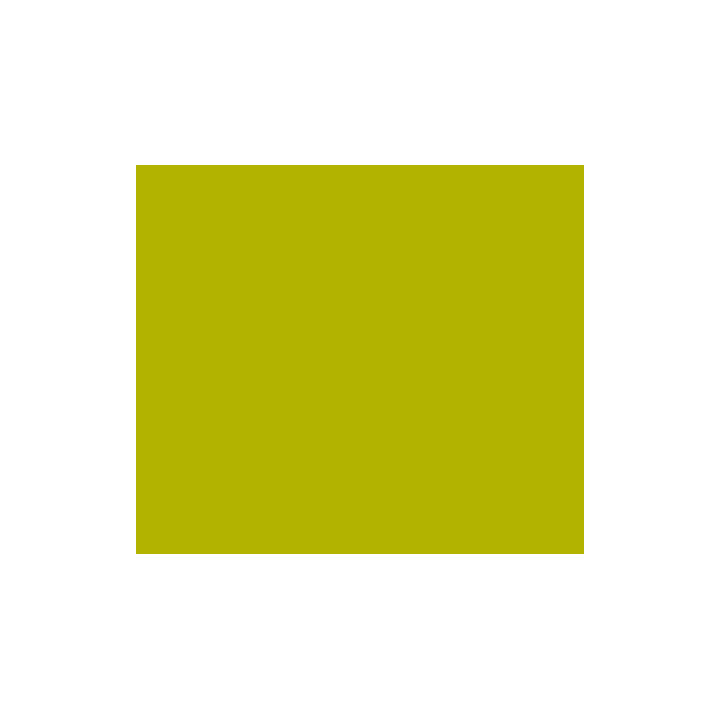 Encre - Acrylique - Vert jaune olive - 812 - Sennelier - Flacon 30ml - Beaux-arts