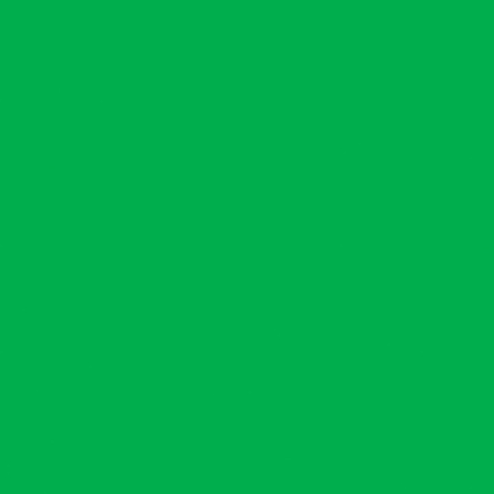 Encre - Acrylique - Vert permanent clair - 811 - Sennelier - Flacon 30ml - Beaux-arts