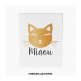 Album photos - 16,5x13 cm - 36 photos 10x15cm - 36 pages - Couverture chat