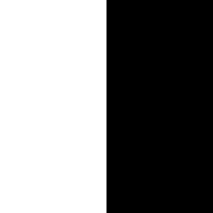 Lot de 2 marqueurs Posca PC-3M noir et blanc | pointe fine conique