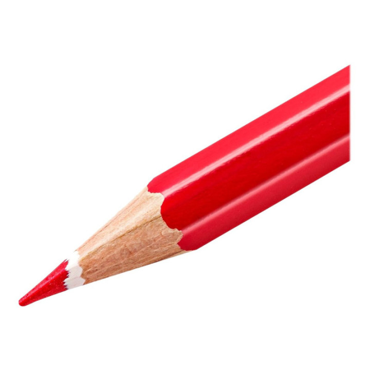 12 crayons de couleur - Aquarellable -  Staedtler - Noris Aquarell