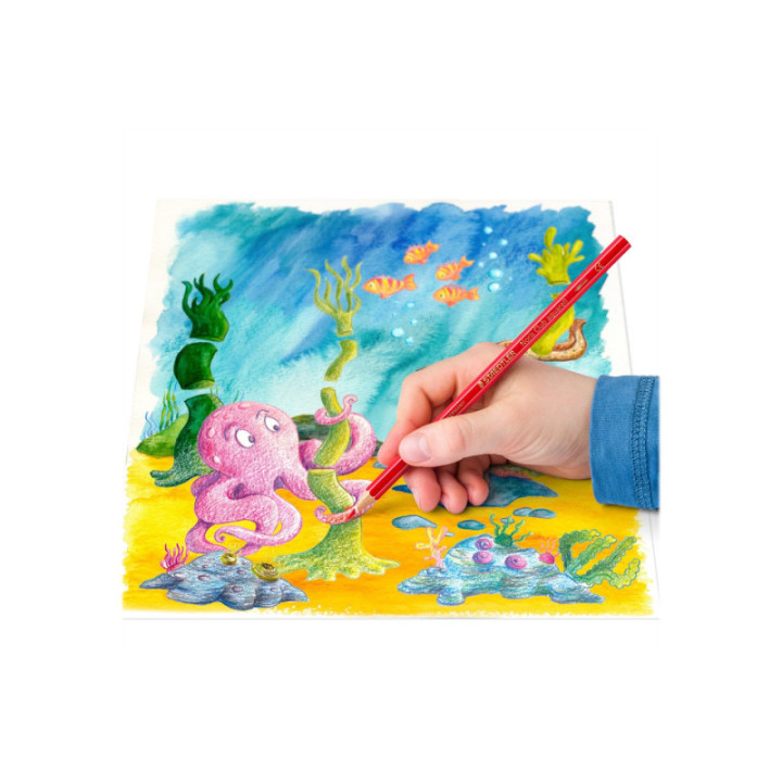 12 crayons de couleur - Aquarellable -  Staedtler - Noris Aquarell