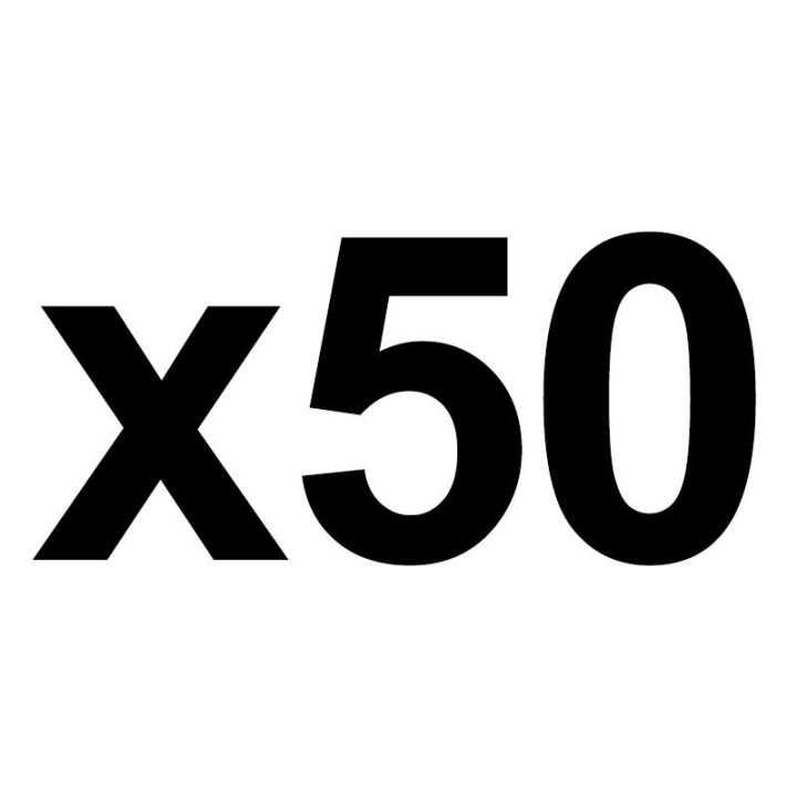 50 Pochettes Perforées Grainées A4 -Exacompta