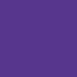 Stylo FriXion Ball pointe moyenne 0.7mm violet Pilot