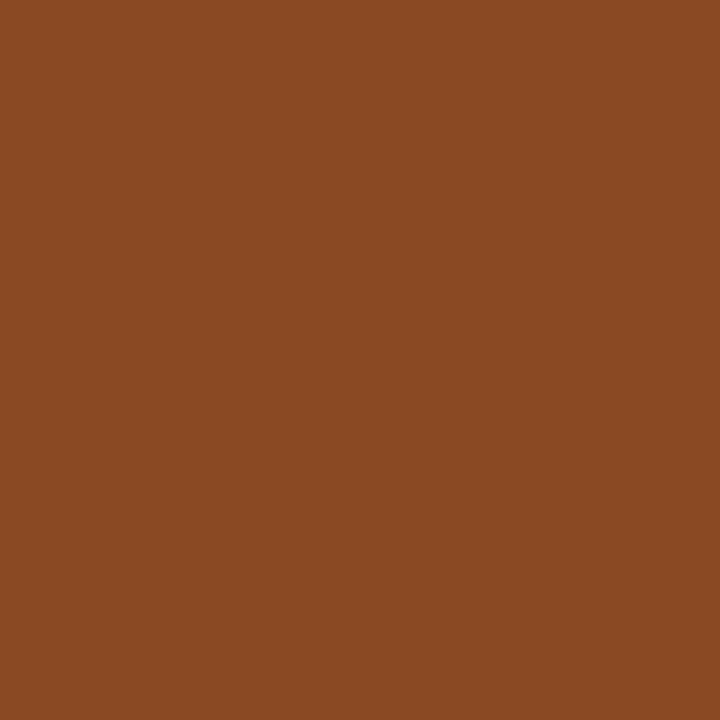 Stylo FriXion Ball pointe moyenne 0.7mm chocolat Pilot