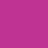 Stylo roller V-Ball 05 pointe fine 0,5mm violet Pilot