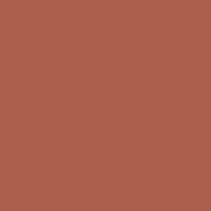 Stylo bille - 4 couleurs - Pointe moyenne - Bic - Corps cuivre métallisé