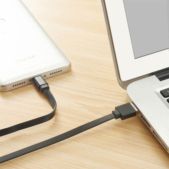 Câble de charge - Micro USB/USB - 2m - 1A - Tekmee