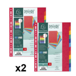 Lot de 2 intercalaires - Pour classeur - 12 positions - A4 - Carton rigide - Exacompta