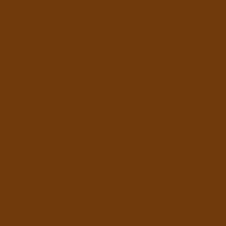 Bombe de peinture professionnelle Nespoli antirouille - brun