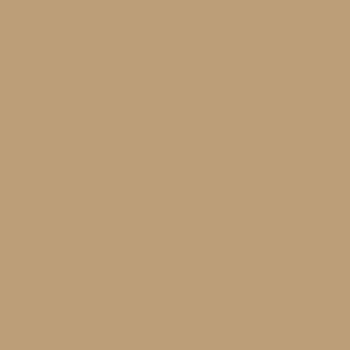 Bombe de peinture Belton primaire antirouille 400ml