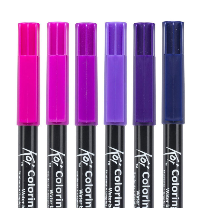 6 feutres - Pointe pinceaux  - Koi Coloring Brush Pen Galaxy colours - Sakura