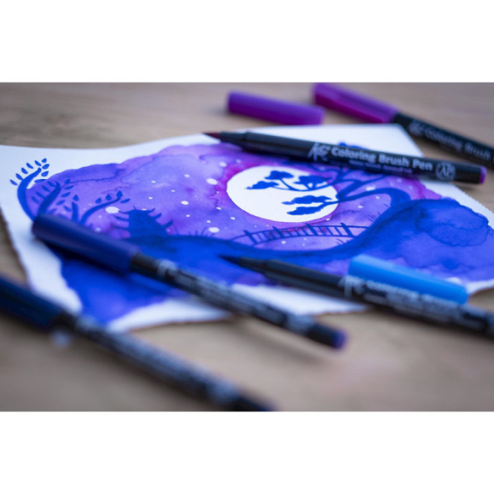 6 feutres - Pointe pinceaux  - Koi Coloring Brush Pen Galaxy colours - Sakura