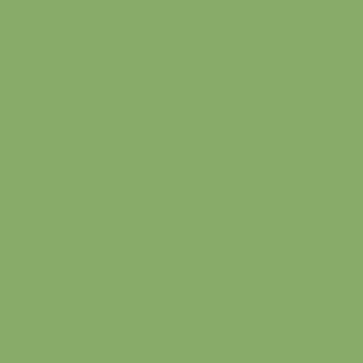 Pelotes - Vert olive - 100% Acrylique - 50g/140m - Lot de 10 pelotes - Azurite