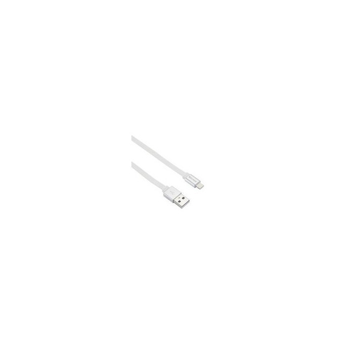 Câble pour iPhone 5 6 7 8 X XS XR 11 12 2 mètres blanc Tekmee