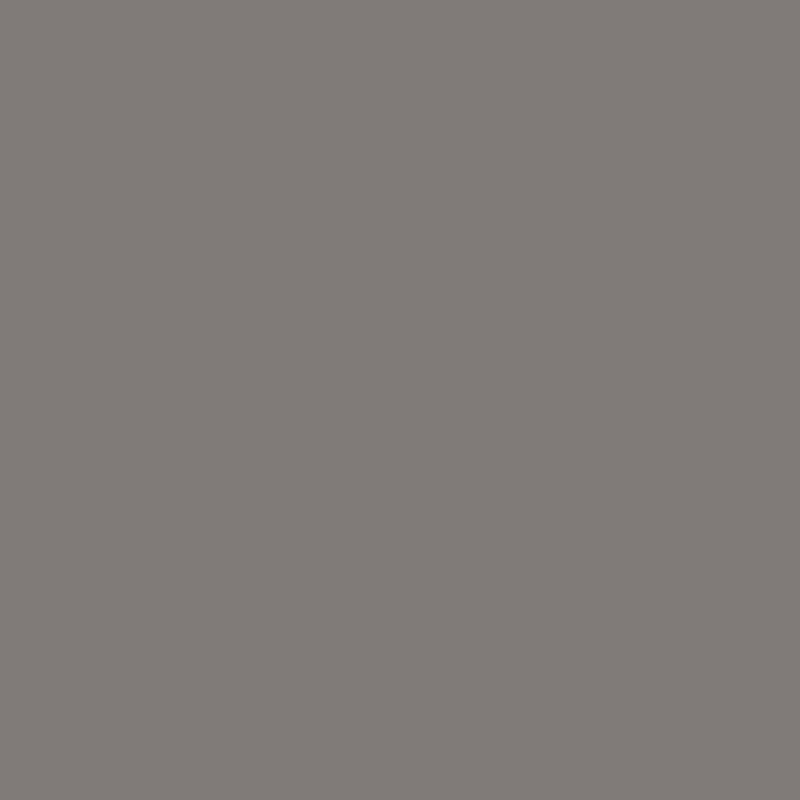 Peinture aérosol  - Gris - Bombe de peinture - AMT - Spécial surfaces difficiles