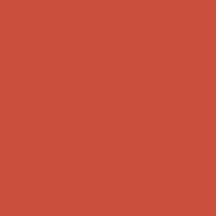 Carton de couleur rouge A4 170 g 50 feuilles - Apli