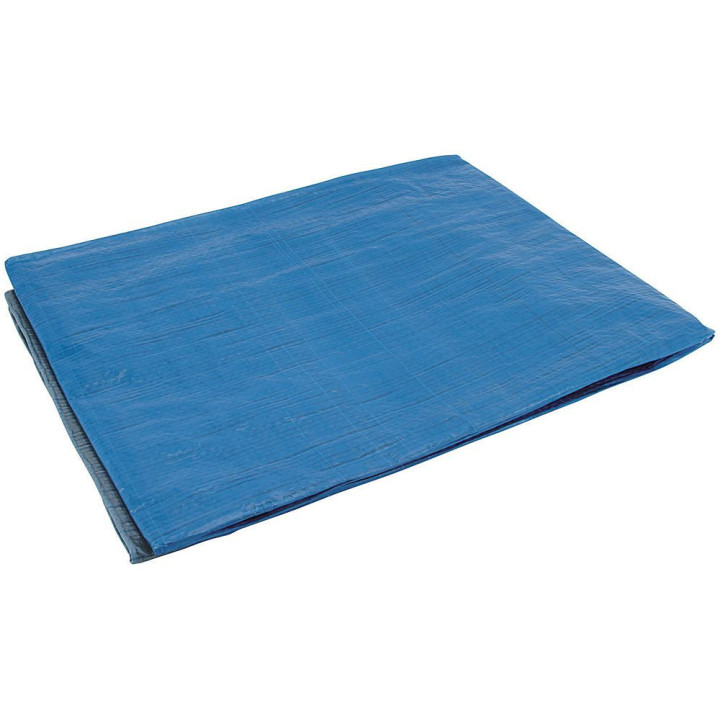 Bâche de protection - Intérieur - Extérieur - Etanche - 2 x 3m - Cogex