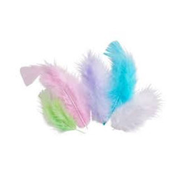 Plumes - Assortiment couleurs pastels - 10 cm - 50 pièces